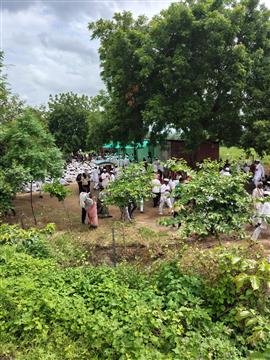 Warkari Pilgrimage Seva