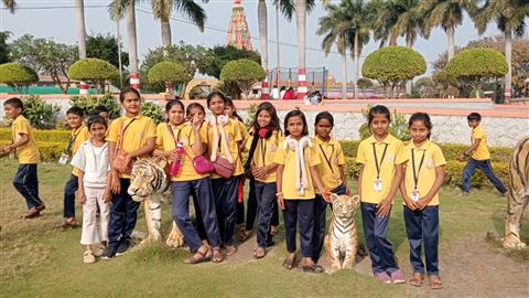 School activities