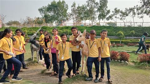 School activities