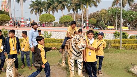 School activities