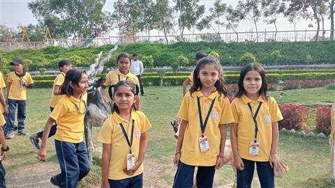 School activities